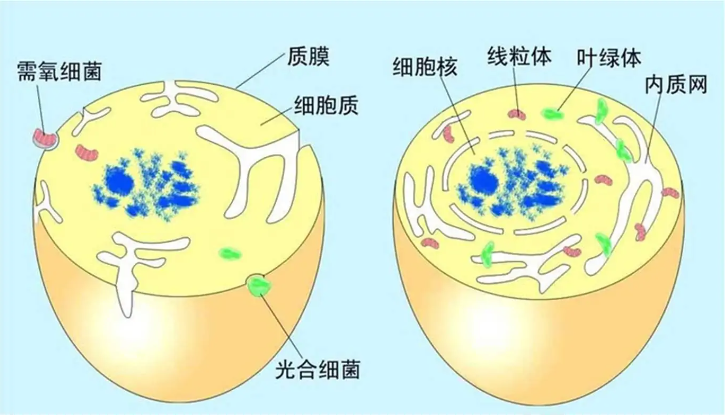 微信截圖_20221009162811 微信截圖_20221009162811