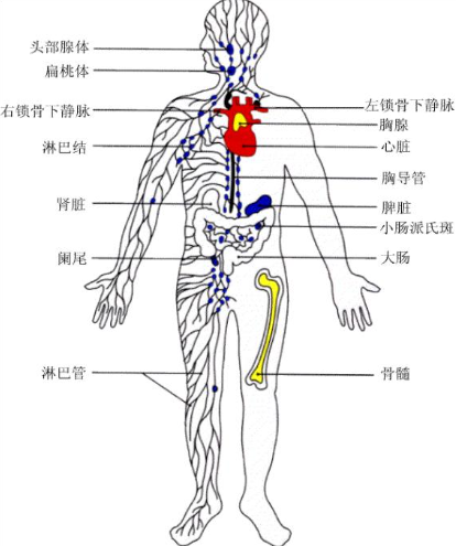 微信截圖_20221009171924