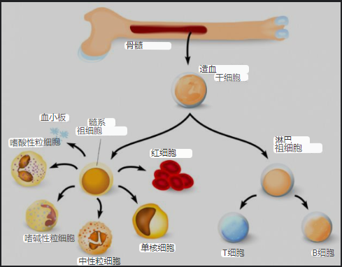 微信截圖_20221009172911